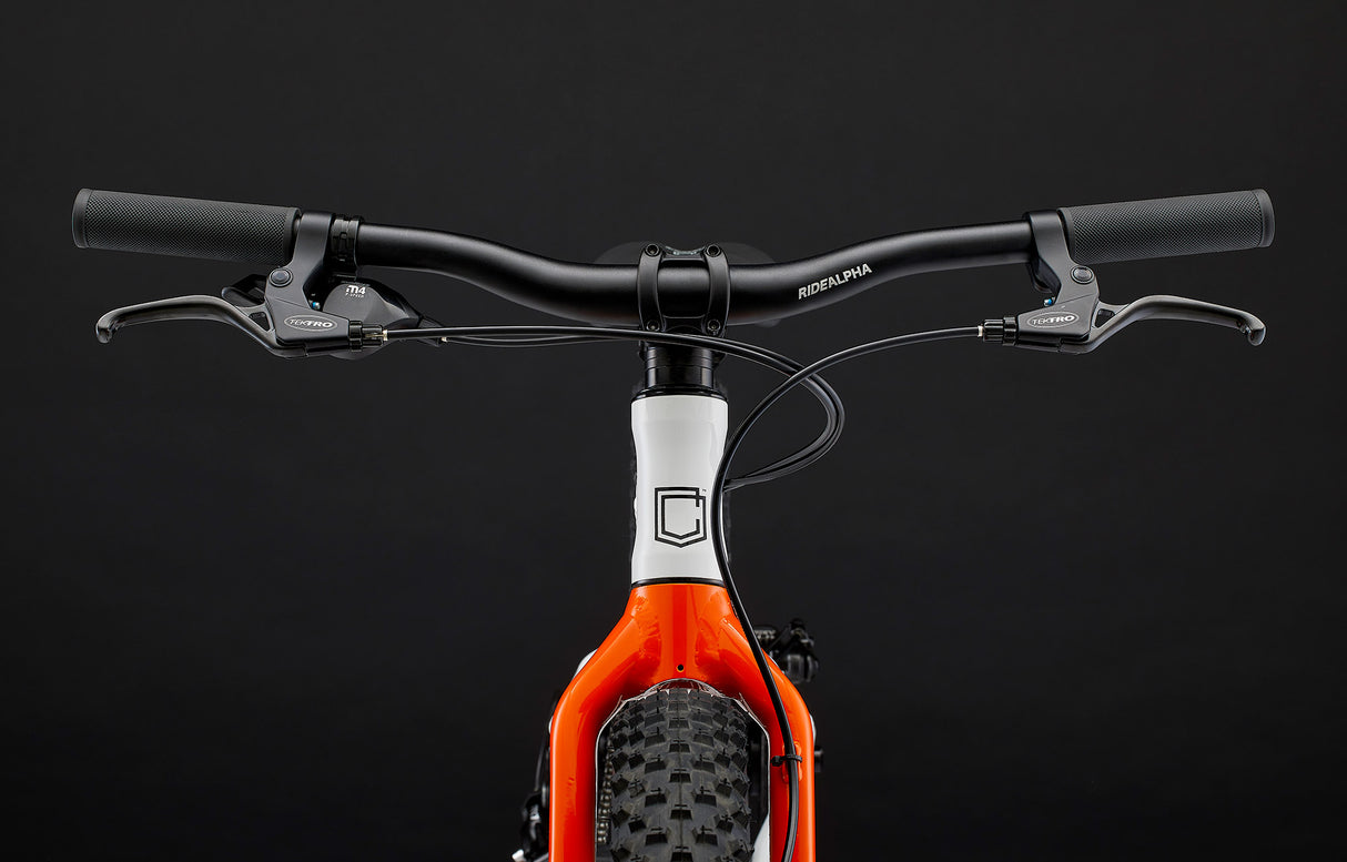 RAMONES 20" Kinderfahrrad