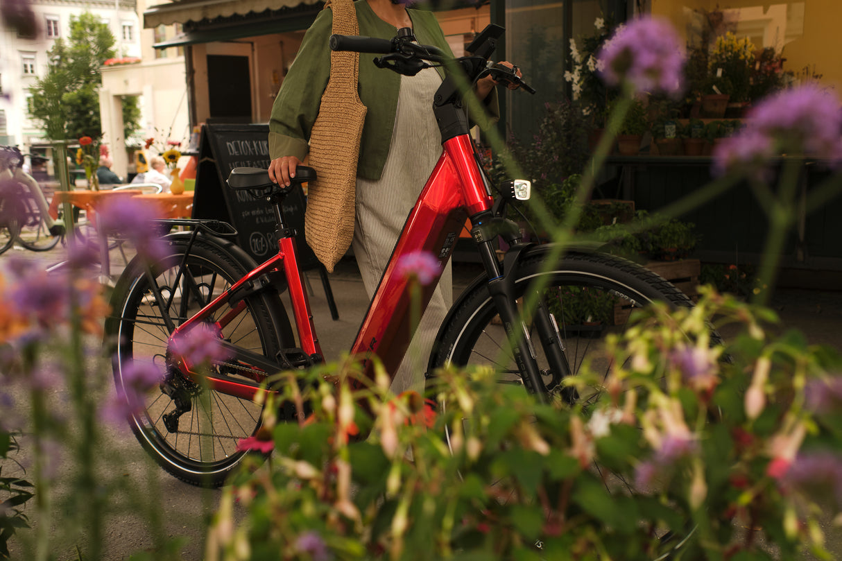 Gotour New Trapezrahmen