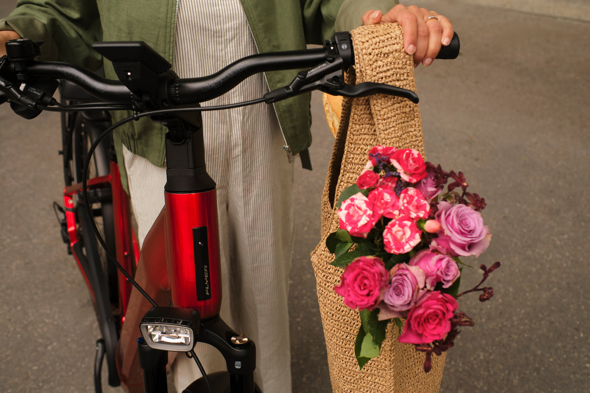 Gotour New Trapezrahmen