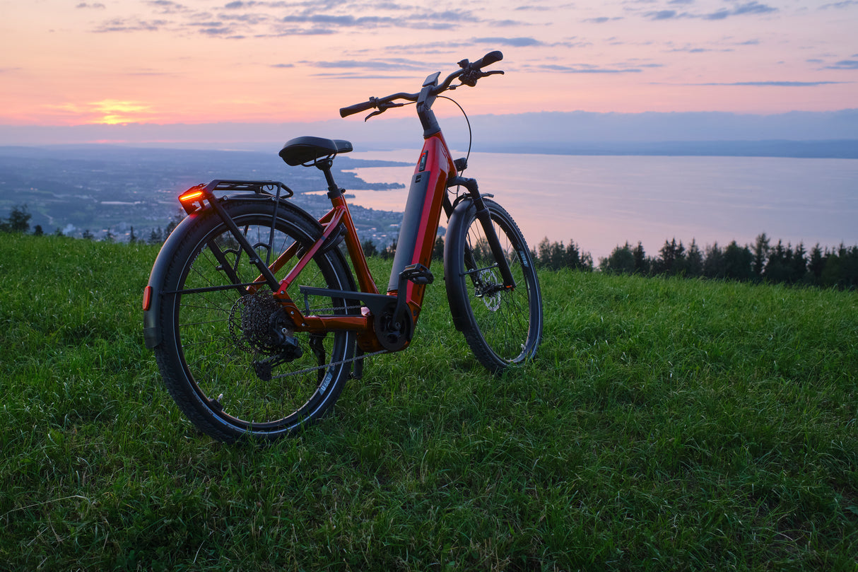 Gotour New Trapezrahmen