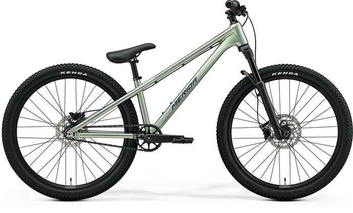 Dirt 500 grey/green