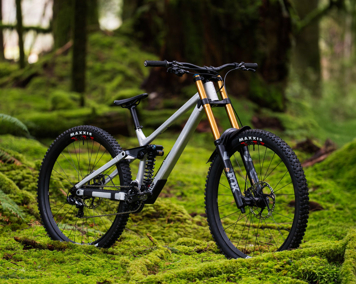 RAAW Custom Mountainbike