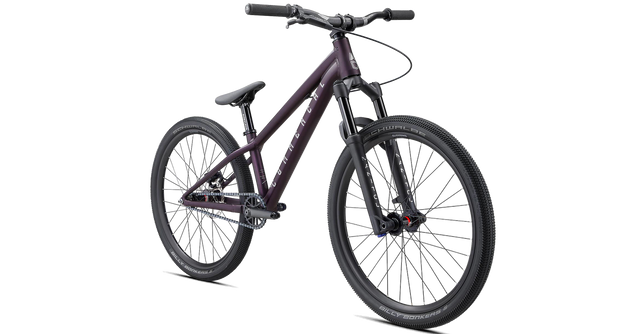 Commencal Absolut 24 Dirt Bike Radhaus Taufkirchen